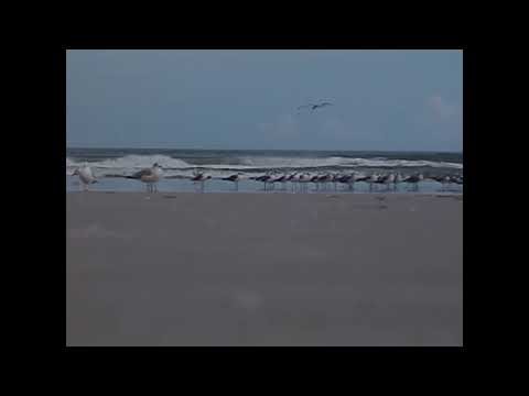 396 Hz, Solo Acoustic Guitar, Mix, Savarez Yamando Costa 7th string, Aquila Low A, Hippy Spacey