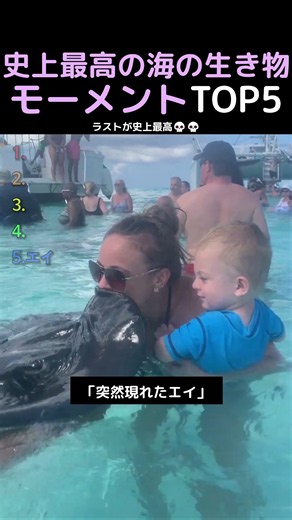史上最高の海の生き物モーメントTOP5