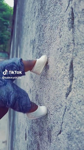 Understanding Sticker Mule's Creative Offerings