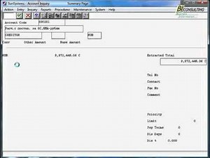 SunSystems, Ledger Accounting, Account Inquiry