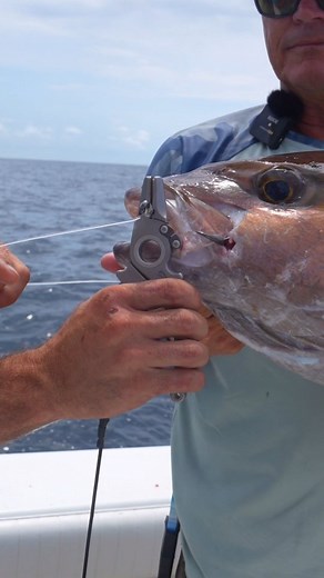 danco pliers on Reels