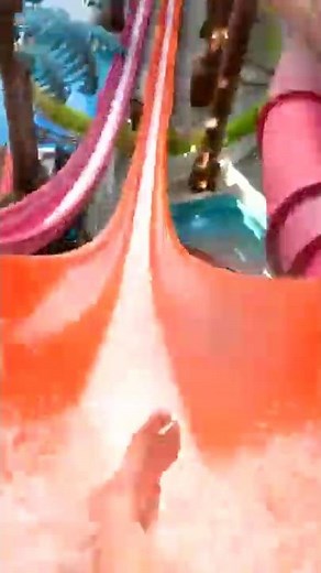 The world's fastest water slide