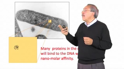 Optical Tweezers: Single Molecule Manipulation in Biochemistry