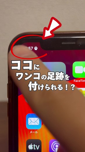 スマホ画面に犬の足跡を設定する簡単な方法🐾