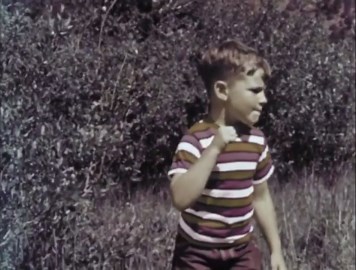 Wildlife Wonders: Animal Camouflage & Hide-and-Seek in Nature