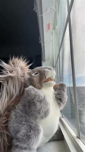 nibs DOefOV6EvM4 #dj #mashup #remix #music #rnb #audio #party #vibes #newmusic #dancehall