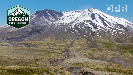 Beneath the ash: Uncovering hidden history of Mount St. Helens
