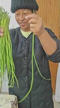 Two types of radish fruit!!!