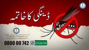 6.5K views · 62 reactions | Dengue fever is a mosquito-borne tropical disease caused by the dengue virus. Symptoms typically begin three to fourteen days after infection. This may include a high fever, headache, vomiting, muscle and joint pains, and a characteristic skin rash. | Punjab Healthcare Commission - PHC | Facebook