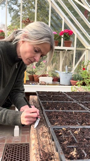 How to Grow Ranunculus #howtogarden #cutflowergarden