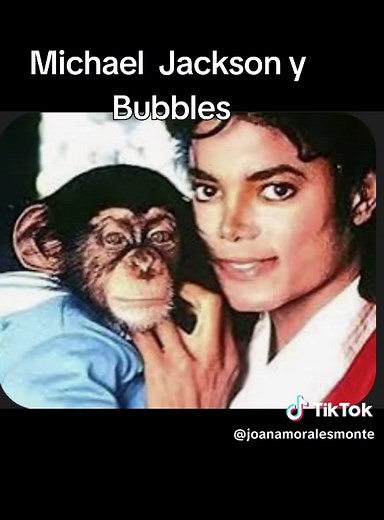 Bubbles el chimpancé de Michael Jackson vive a los 43 años en Florida