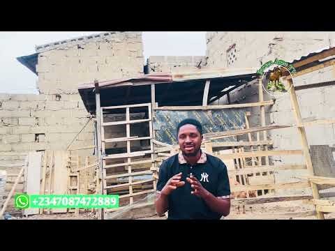 Five early signs that your Goat is about to die