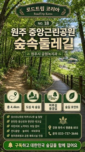 도심 속에서 즐기는 치악산 명품 숲길 힐링 산책 🌲 (원주 치악산 둘레길 / 중앙 둘레길 코스) #트래킹 #주말여행 #숲