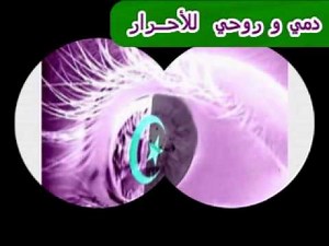 Katchou -- Dami Dami