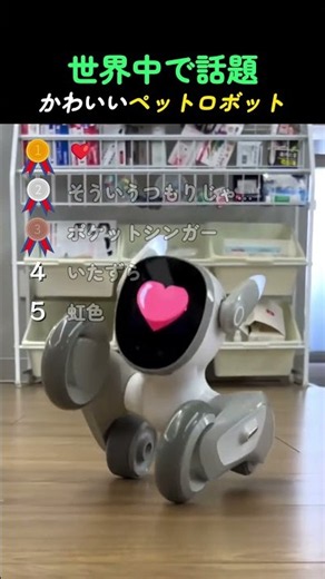 世界中で話題 かわいいペットロボット TOP5
