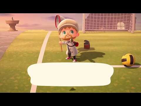 How to catch a Fly in Animal Crossing: New Horizons
