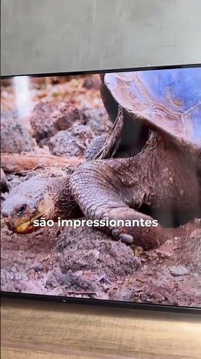 Smart TV DLED 50 4K Multi Roku 4HDMI 2USB Wi Fi