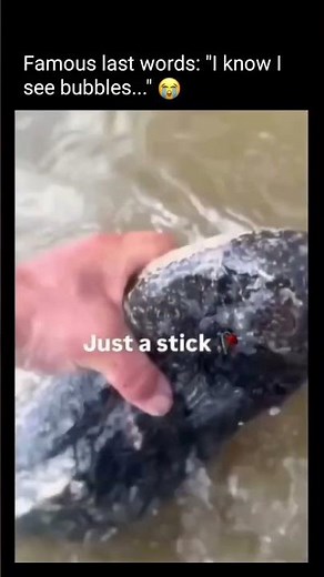 Famous last words, “I know I see bubbles”😂