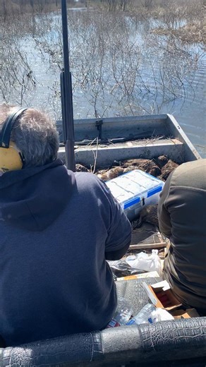 Removing Nutria Rats!!! Invasive Species that tear up our precious swamps in Louisiana!!! | Ronnie Adams from Swamp People