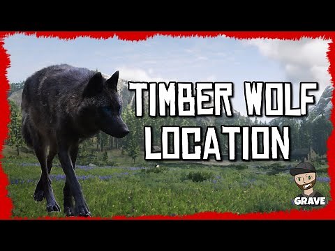 🐾Red Dead Online Timber Wolf Spawn Location