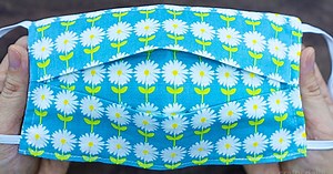 How To Make a Facemask With A Filter Pocket