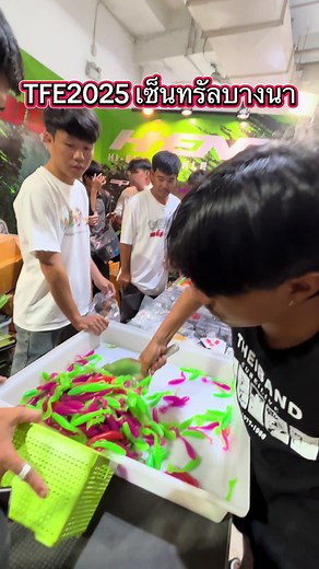 #พริ้มเจอรี่ #เหยื่อยาง #เหยื่อยางพริ้ม #พริ้ม #ตกปลา