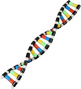 iplusmile DNA Double Helix Structure Models Kit Biological Science Popularization Teaching Aid for DNA Assembling, Educational Learning for School Student