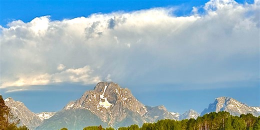 Perception of Consciousness