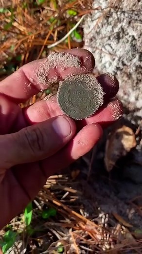 40K views · 1.4K reactions | In the heart of a once colonial plantation, team member Noah Harrell hit the jackpot with this beautiful large cent from 1832. This exciting find adds a thrilling chapter to our treasure hunt, capturing a glimpse of American history in every detail. #exploring #money | Cape Fear Explorers | Facebook