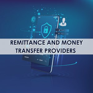 Remittance and Money Transfer Providers