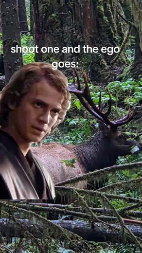 #Meme #MemeCut #CapCut #Lol #hunting