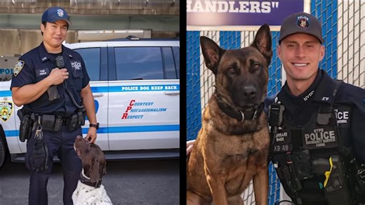 NYPD drops new ‘Canine & Friends' calendar for 2026