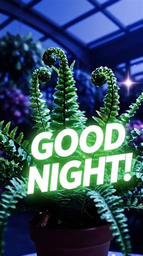 These Plants Have Memory 🌿 #biology #shorts #mindblown