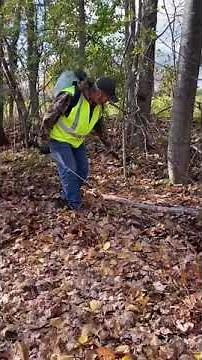 Basal Bark Application - How To