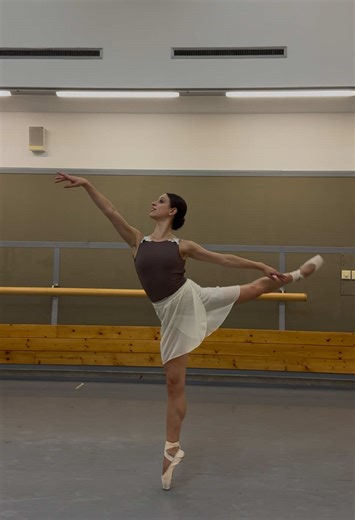 Exploring the Life of a Ballerina