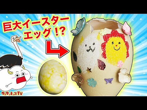 【料理】恐竜のタマゴみたいな巨大イースターエッグを作る！？カラフルたまごを大量に手作り♪ダチョウの卵の巨大目玉焼きも登場！キッズでも作れる！キッチンおままごと・子供向け知育教育★サンサンキッズTV★
