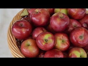 How to Make Chunky Applesauce with NO ADDED SUGAR