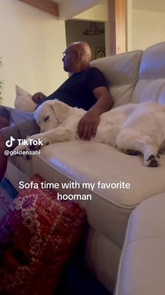 Cuddle Time with My Golden Retriever