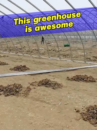 This greenhouse is awesome#greenhouseframe#build#greenhouse