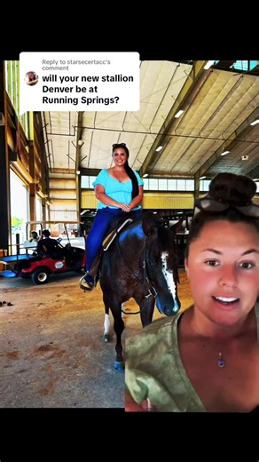 When Will 'First Thingz First' Stallion Come to Running Springs?