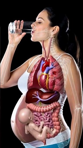Pregnant Women MUST Drink Water Daily | Baby Growth & Hydration