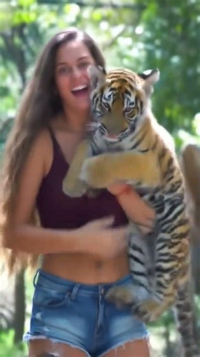 tiger ka baccha #twice #kpop #edit #ive #cute #ठीक_हूं #lifereality #कैसे_हो #कुछ_नहीं