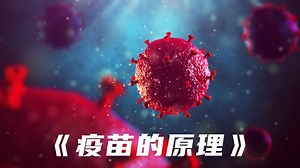 这么厉害的免疫细胞结果造就了一个这么废物的我《疫苗工作的原理》