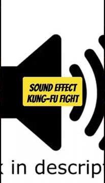 🔊 Sound Effect Kung-Fu Fight
