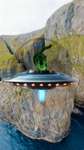 Biscuit and Muffin on Instagram: "Official music video 👽🛸⛰️ - #cat #cats #catmemes #memes #sillycat #silly #aliencat #alien #gnarpy"