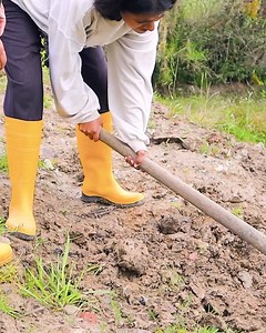 4.7M views · 74K reactions | Humilló a su madre por comprarle un teléfono | Clever Chamba | Facebook