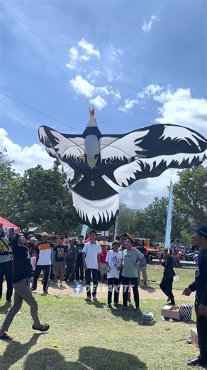 The falcon kite flies incredibly high | Deeva Kite