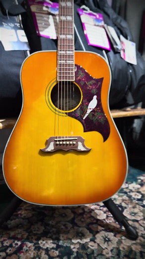 Epiphone Dove Studio Acoustic-Electric Guitar - Violinburst #epiphone