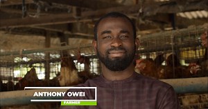 78 reactions · 33 comments | Have you ever wondered what realising your agribusiness potential could be like? Anthony's story is a real-life example. The next could be yours. Get financing to grow your business today with SWAY AgFin. Visit sterling.ng/swayagfin to learn more! #SWAYAgFin | Sterling Bank | Facebook