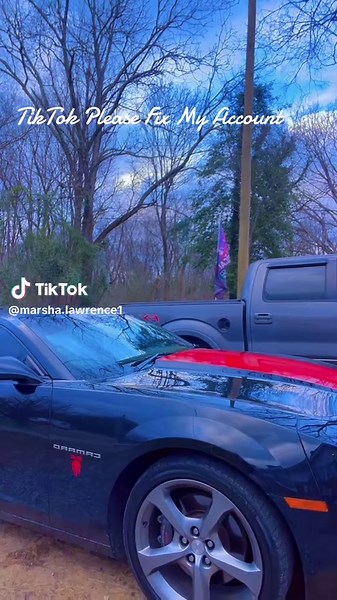 TikTok Account Issues: How to Get Help